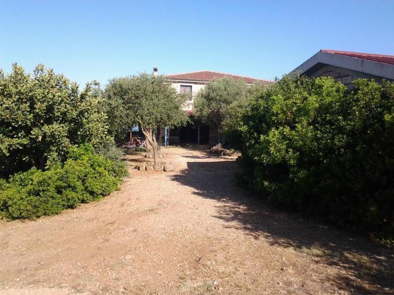 Agriturismo Sa Murta In Sennariolo-Oristano Экстерьер фото