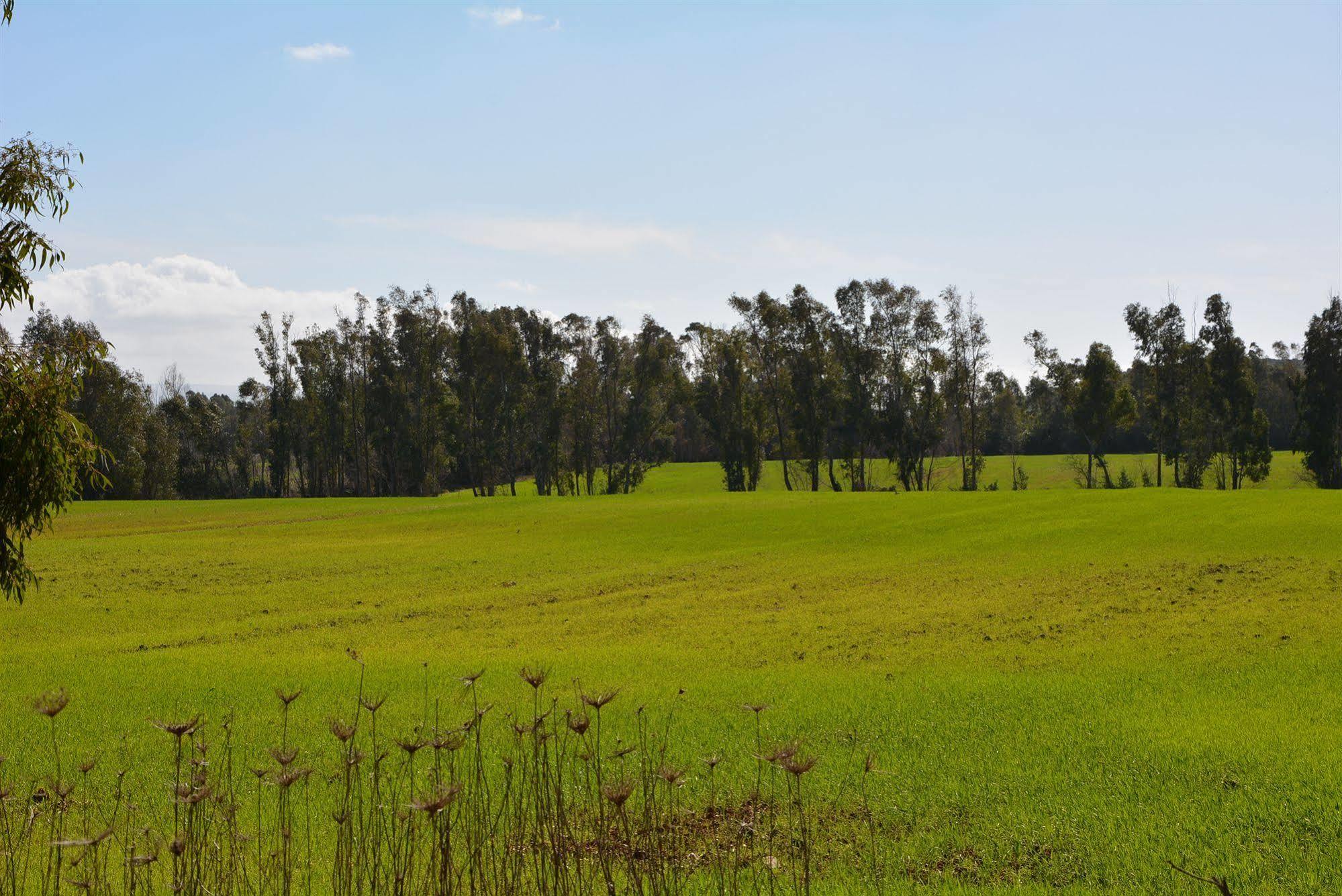 Agriturismo Sa Murta In Sennariolo-Oristano Экстерьер фото